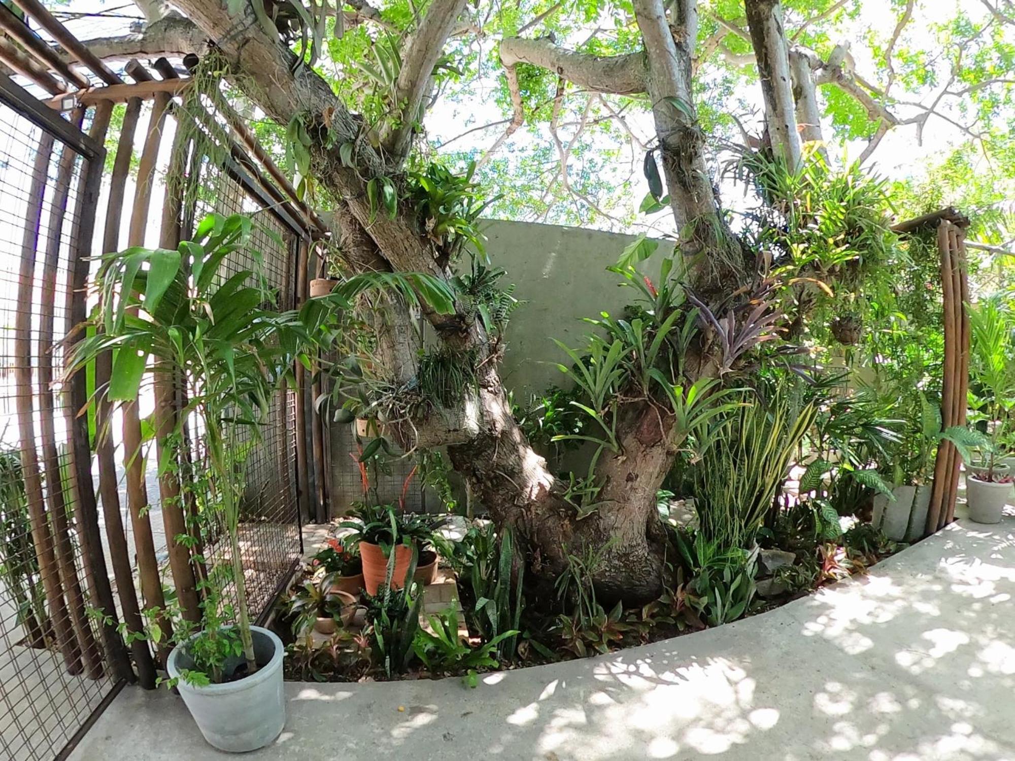 Residencial Casa Flor Atelier Botanico, Ponta Negra Apartment นาตาล ภายนอก รูปภาพ