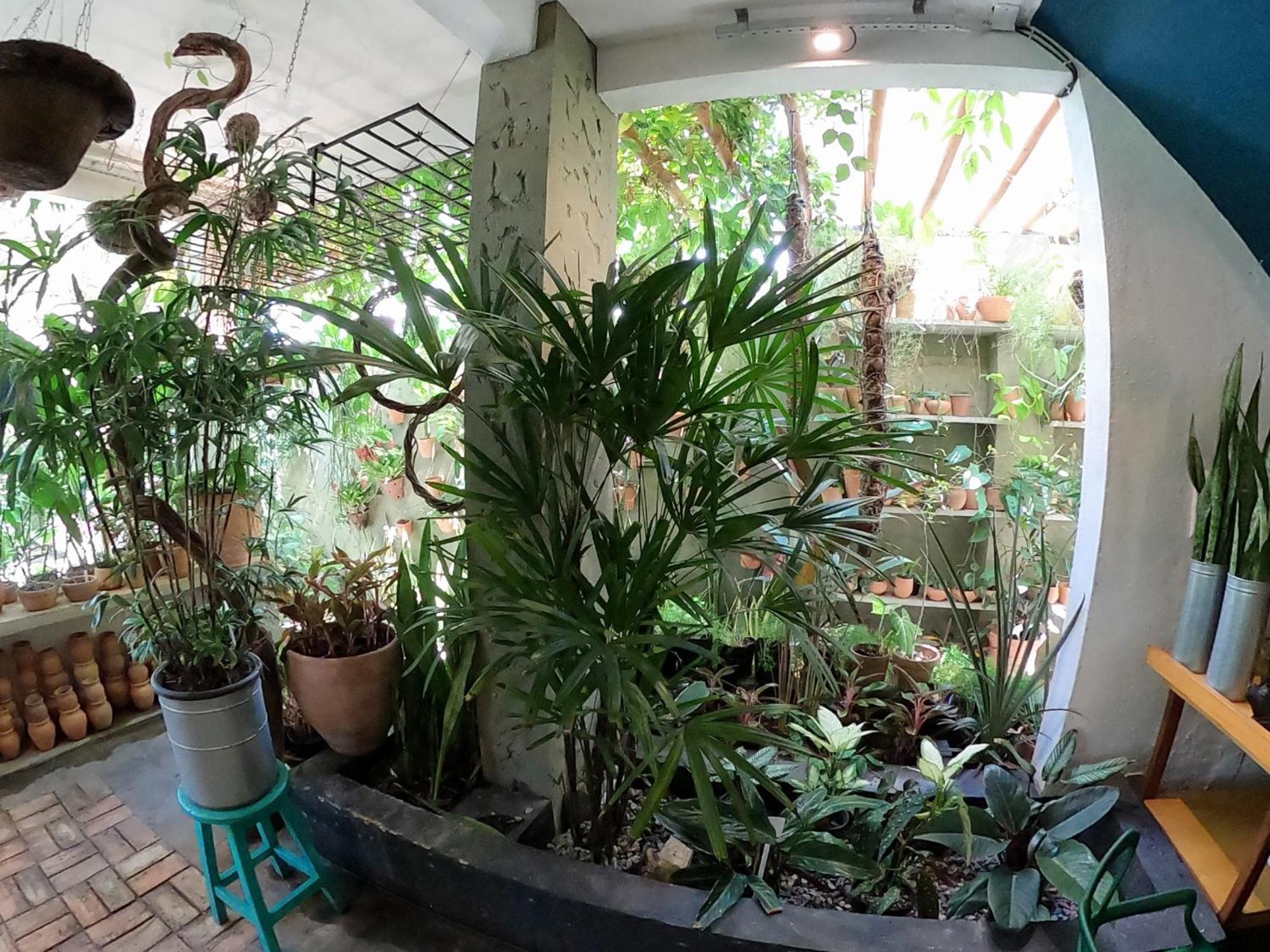 Residencial Casa Flor Atelier Botanico, Ponta Negra Apartment นาตาล ภายนอก รูปภาพ
