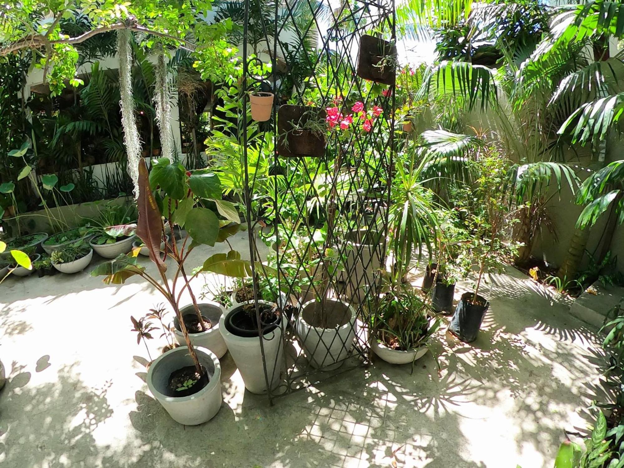 Residencial Casa Flor Atelier Botanico, Ponta Negra Apartment นาตาล ภายนอก รูปภาพ
