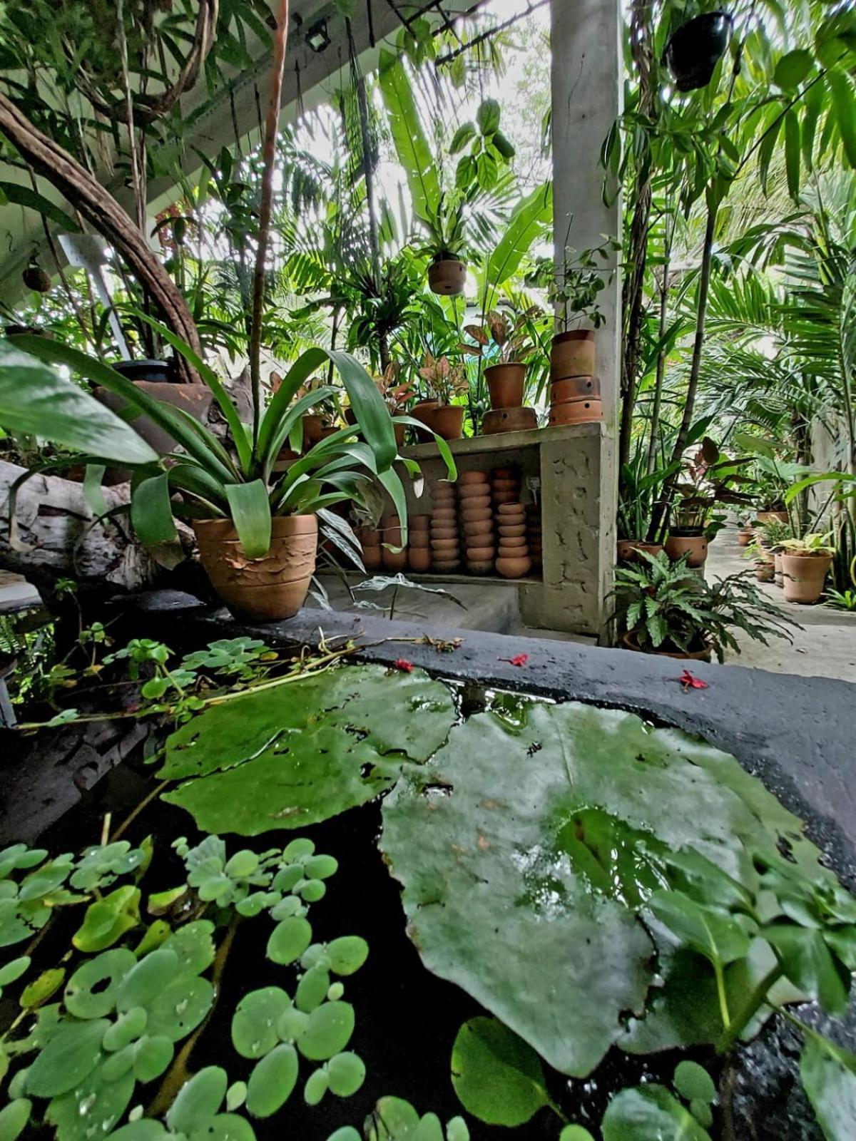 Residencial Casa Flor Atelier Botanico, Ponta Negra Apartment นาตาล ภายนอก รูปภาพ